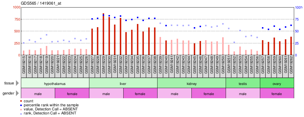 Gene Expression Profile