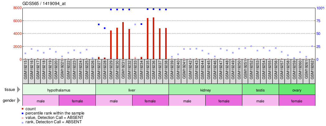 Gene Expression Profile