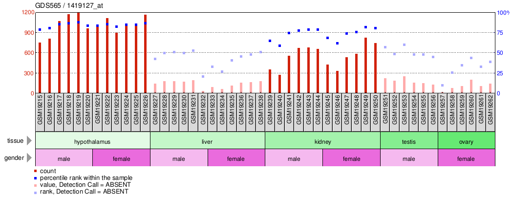 Gene Expression Profile