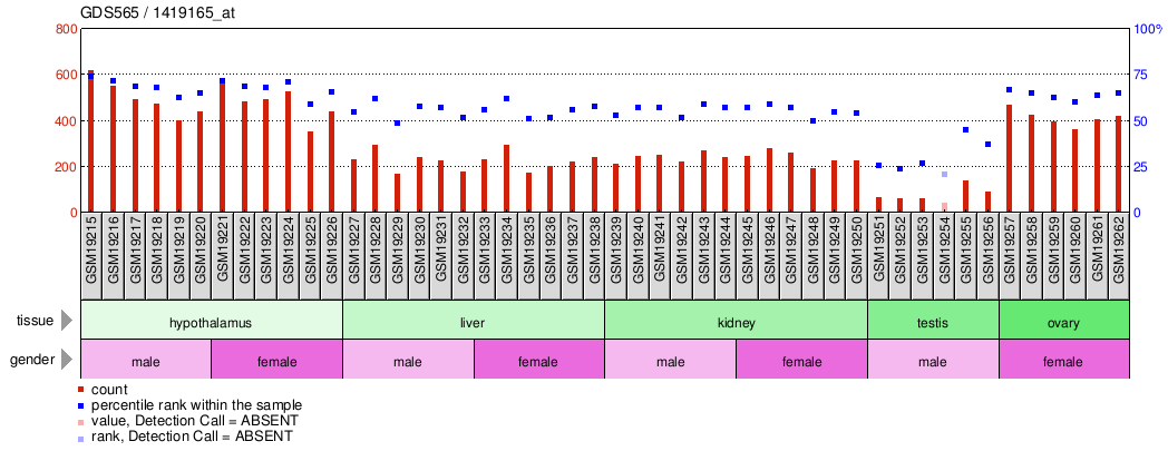 Gene Expression Profile