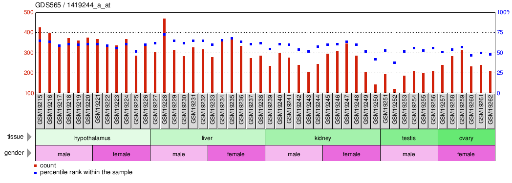 Gene Expression Profile