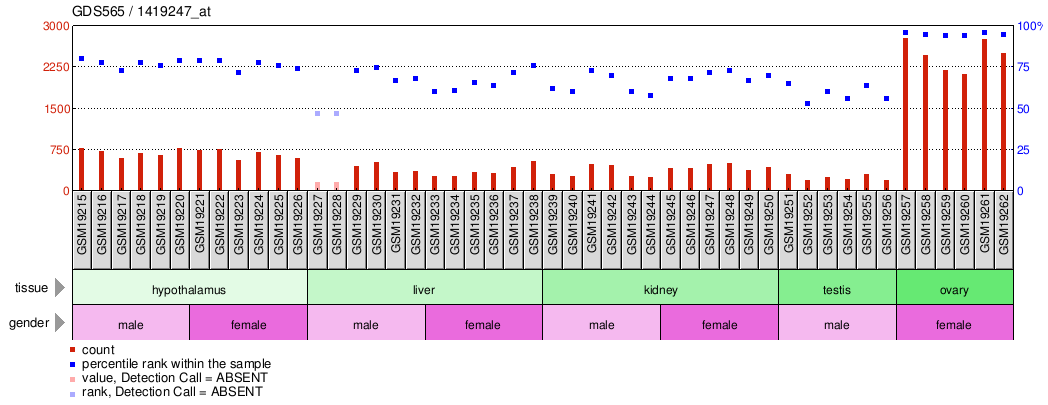 Gene Expression Profile