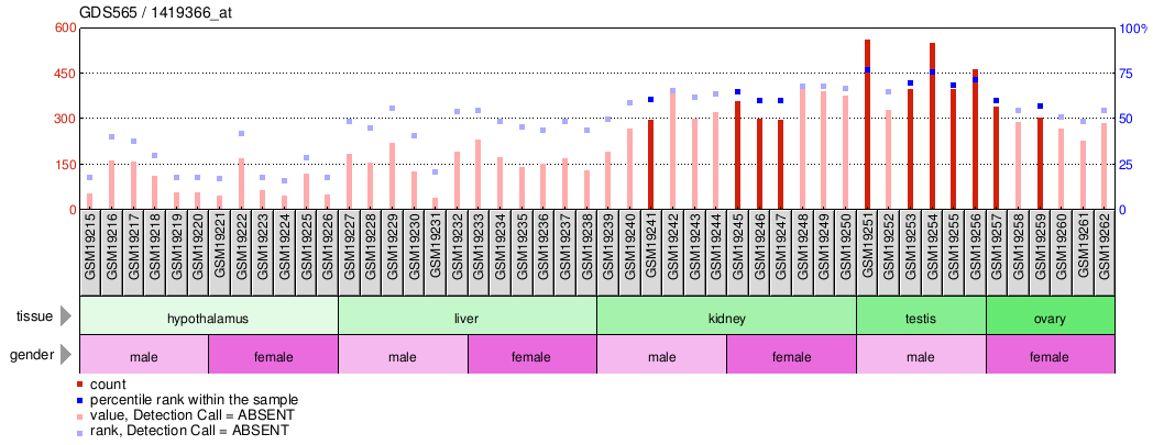 Gene Expression Profile