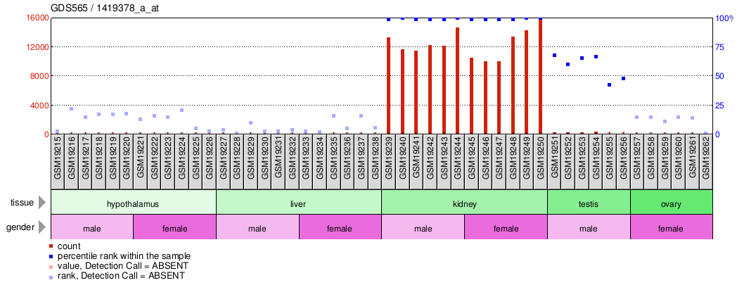 Gene Expression Profile