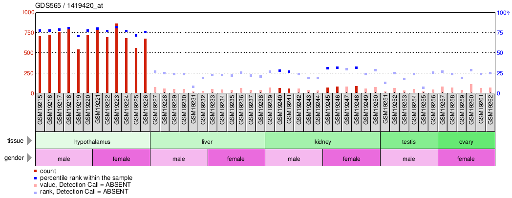 Gene Expression Profile