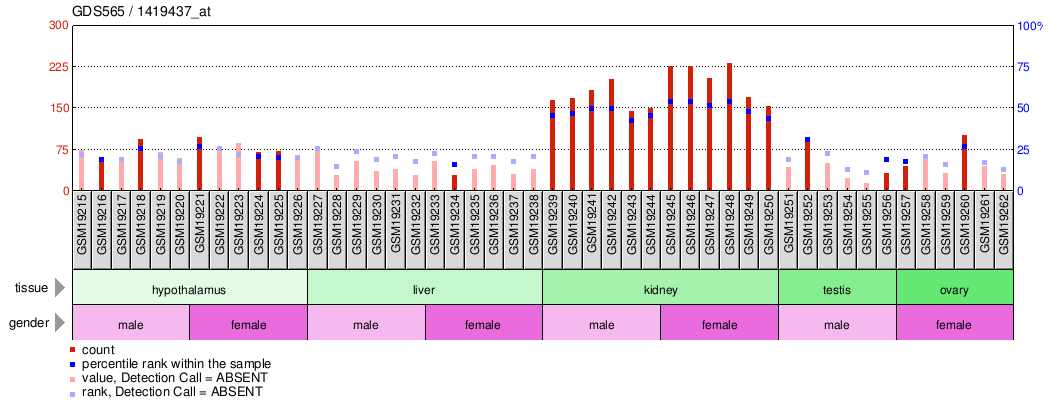 Gene Expression Profile