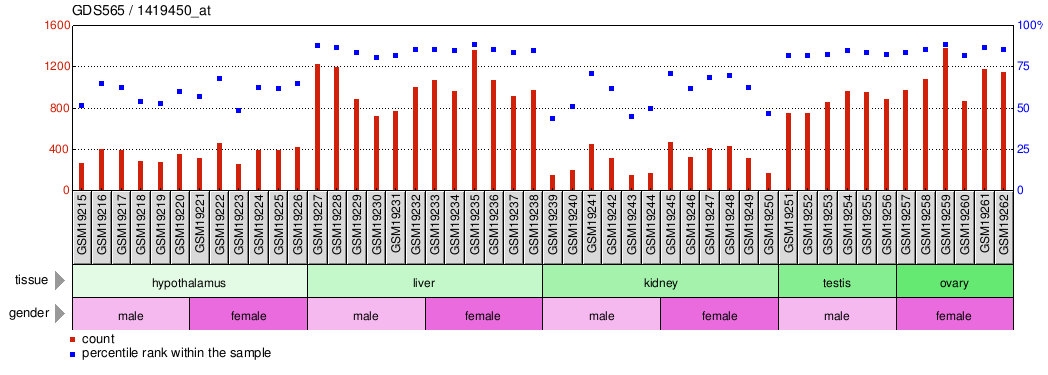 Gene Expression Profile