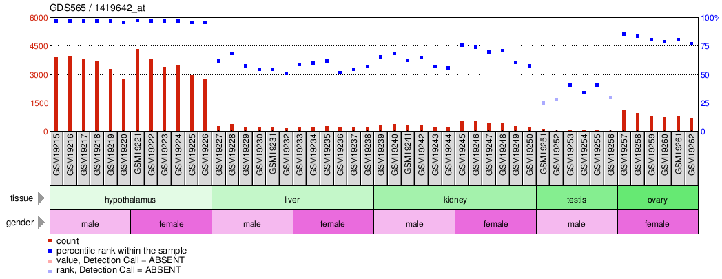 Gene Expression Profile