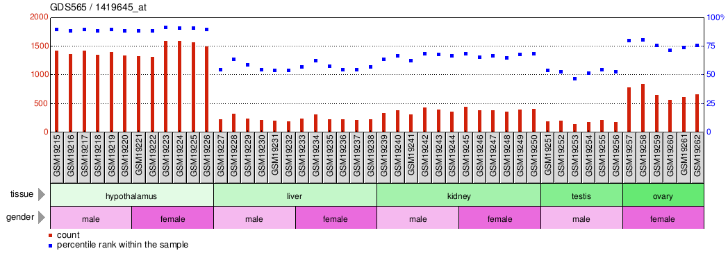 Gene Expression Profile