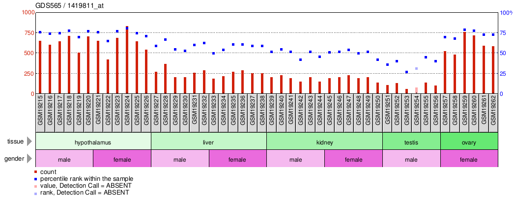 Gene Expression Profile