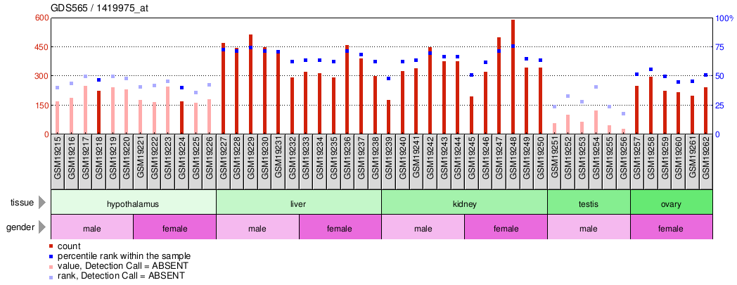 Gene Expression Profile