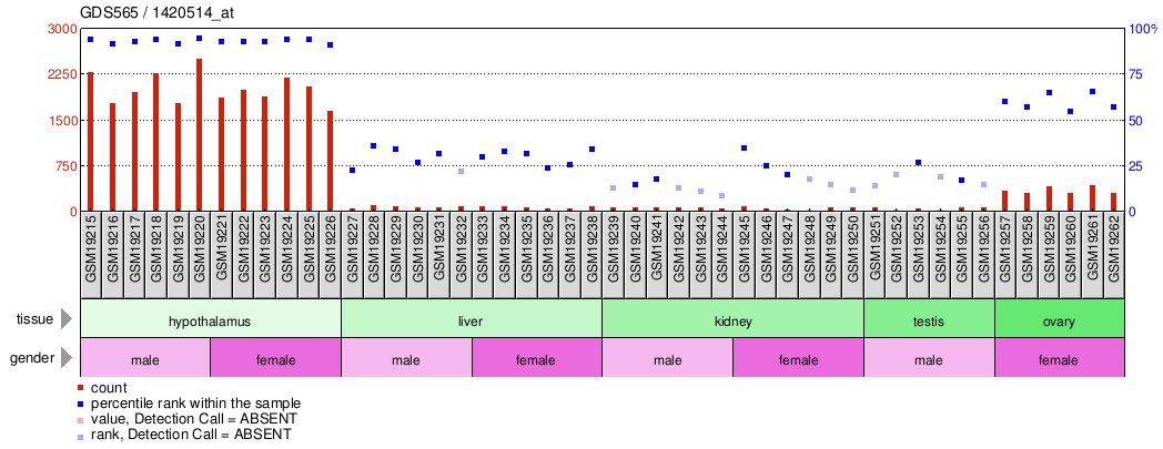 Gene Expression Profile