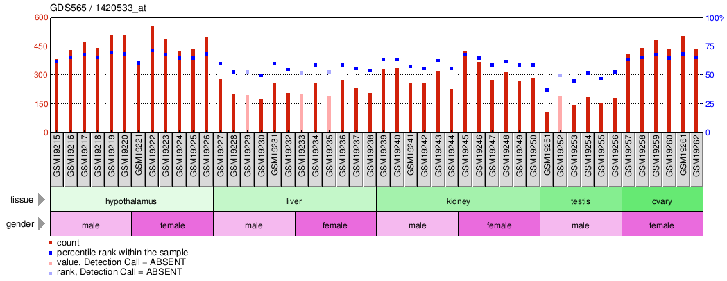 Gene Expression Profile