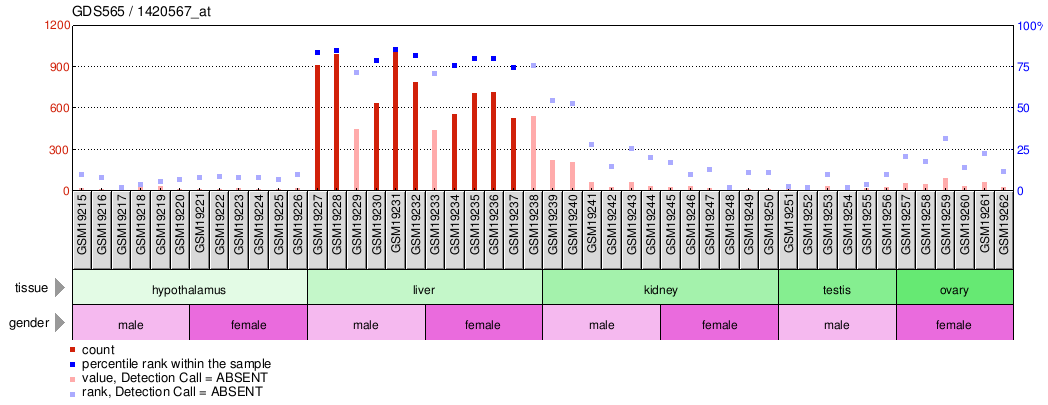 Gene Expression Profile