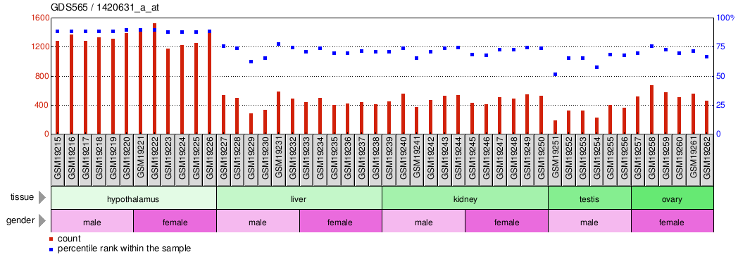 Gene Expression Profile