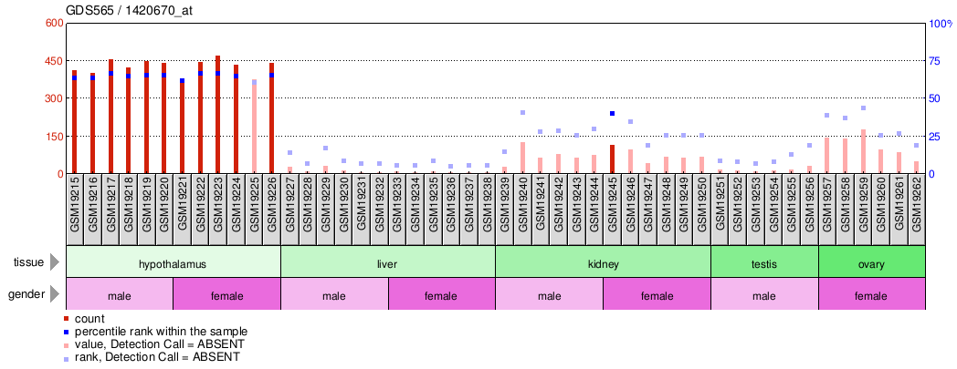 Gene Expression Profile