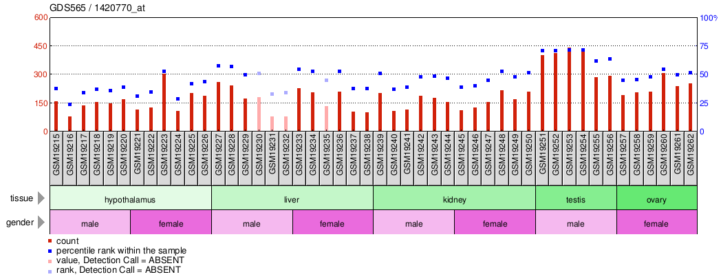 Gene Expression Profile