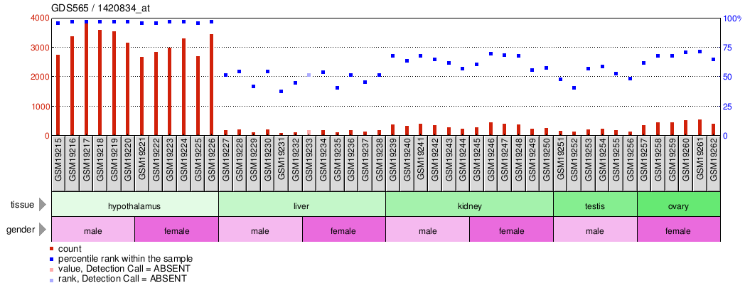 Gene Expression Profile