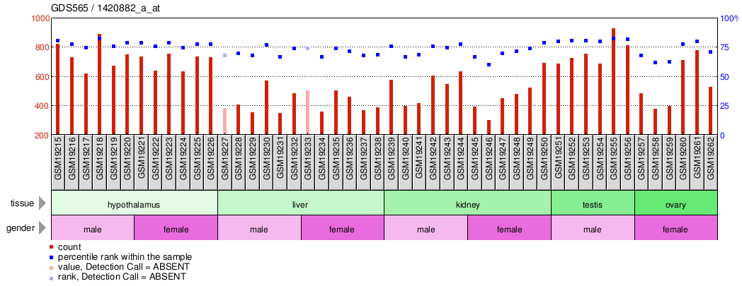 Gene Expression Profile