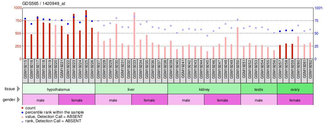 Gene Expression Profile