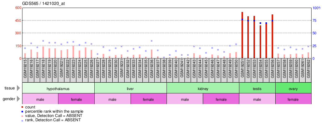 Gene Expression Profile