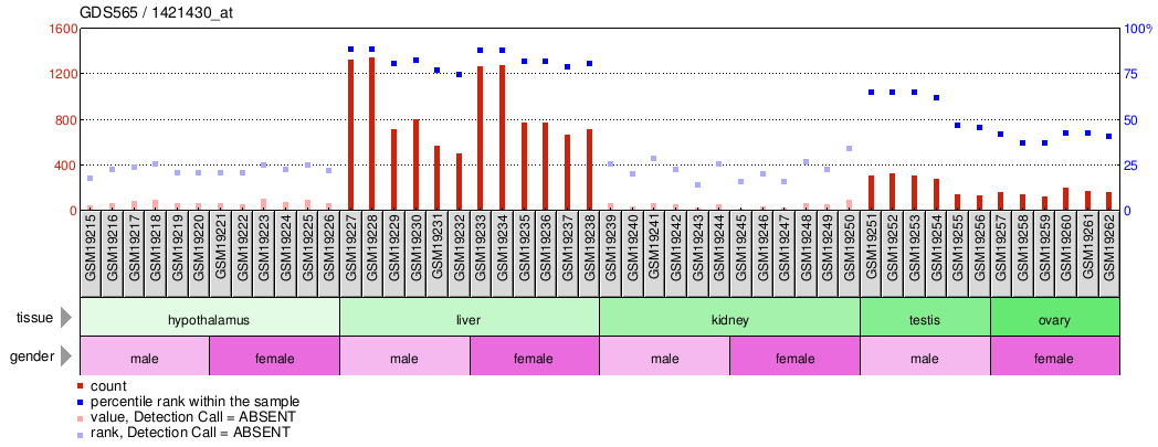 Gene Expression Profile