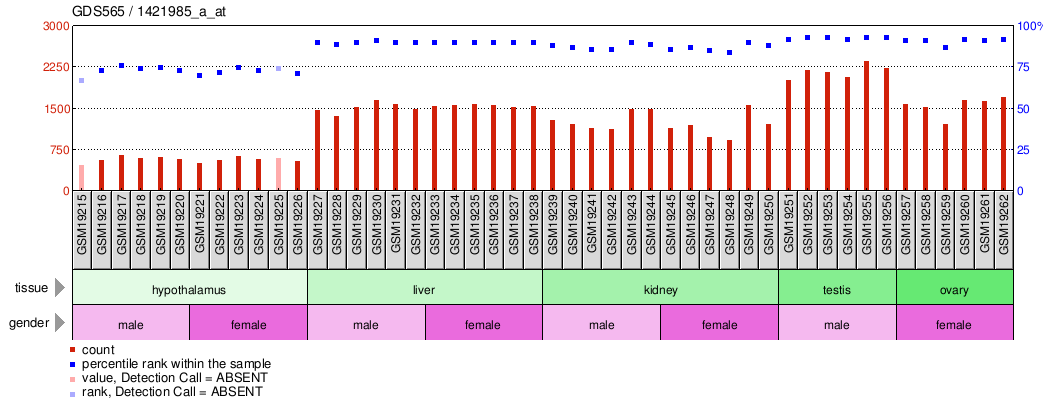 Gene Expression Profile