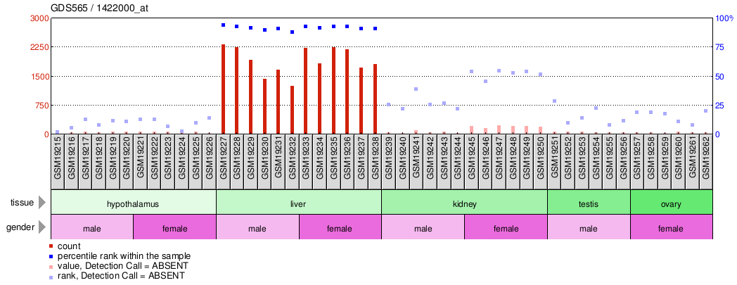 Gene Expression Profile