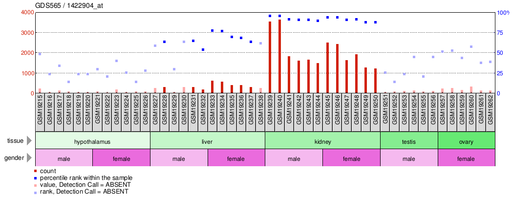 Gene Expression Profile