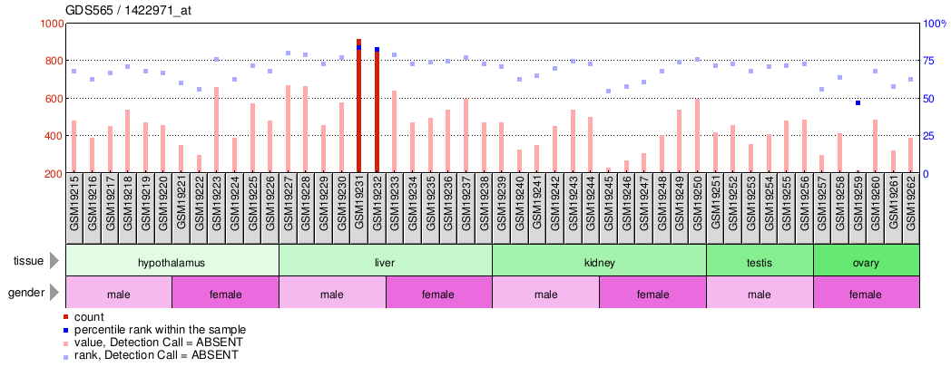 Gene Expression Profile