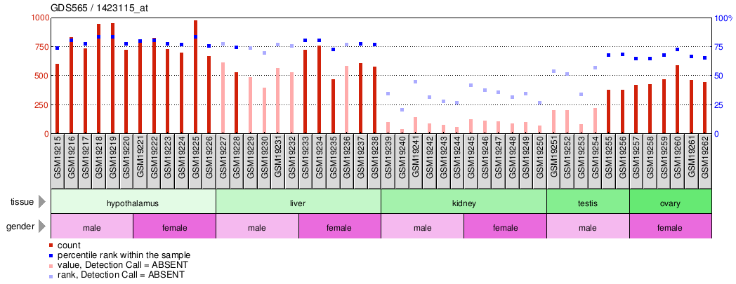 Gene Expression Profile