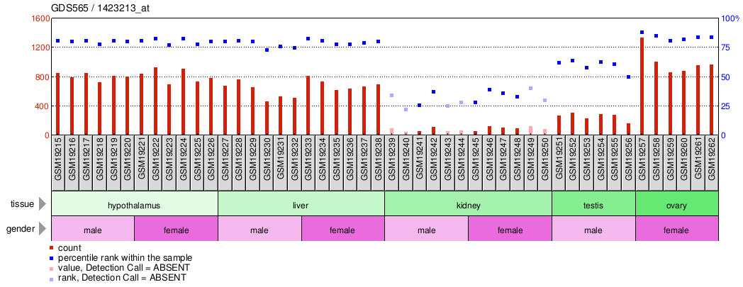 Gene Expression Profile