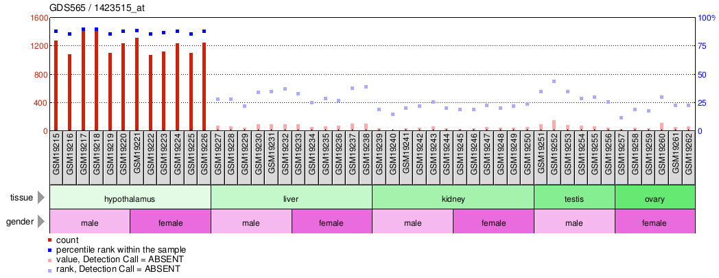 Gene Expression Profile