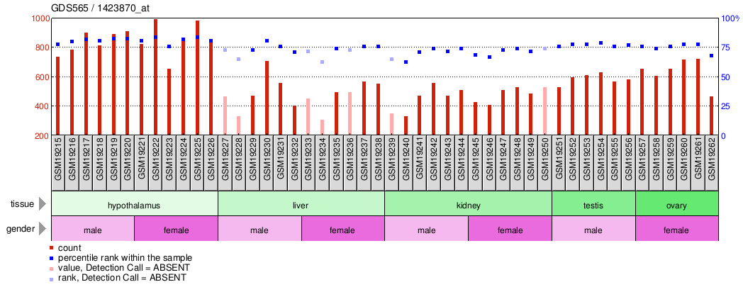 Gene Expression Profile