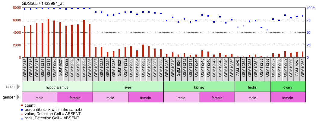 Gene Expression Profile