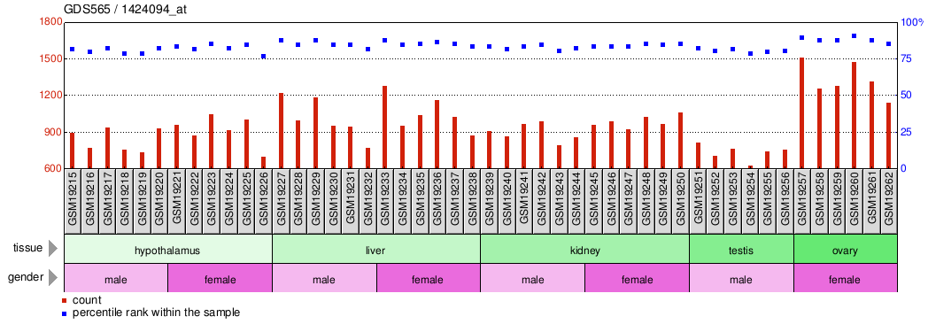 Gene Expression Profile