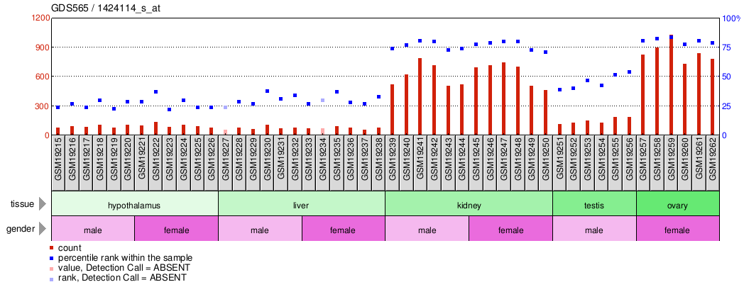 Gene Expression Profile