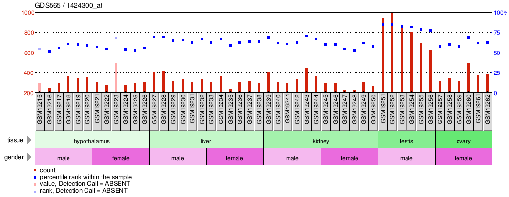 Gene Expression Profile