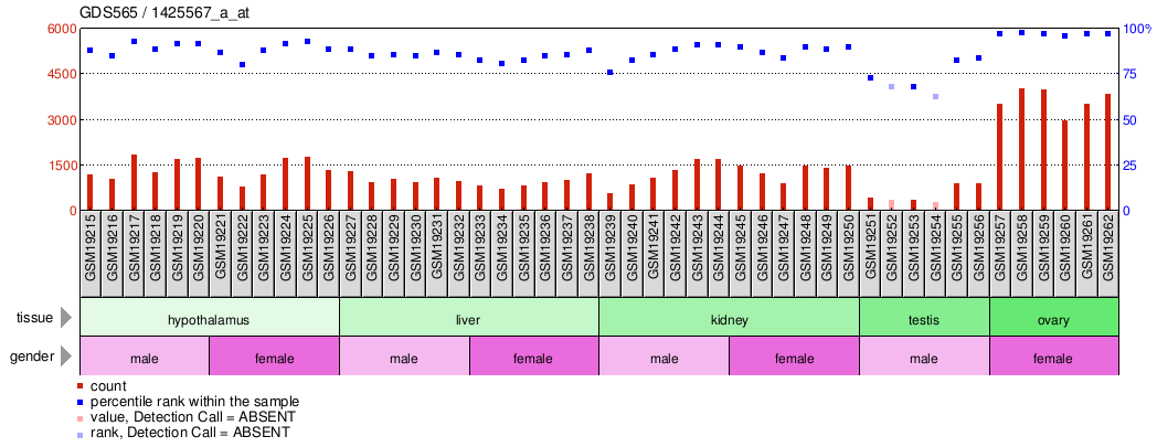 Gene Expression Profile