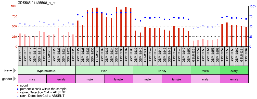 Gene Expression Profile