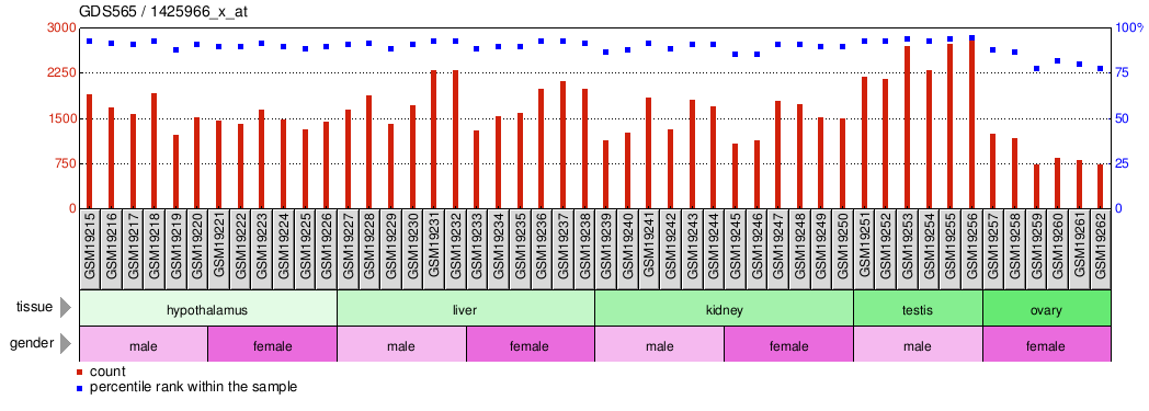 Gene Expression Profile