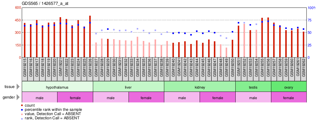 Gene Expression Profile