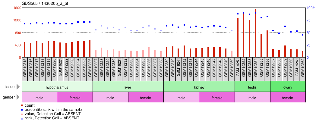 Gene Expression Profile