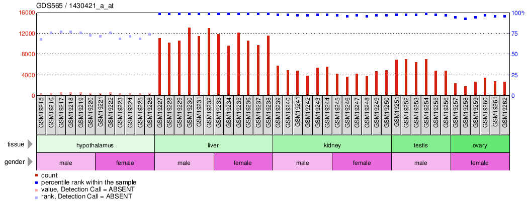 Gene Expression Profile