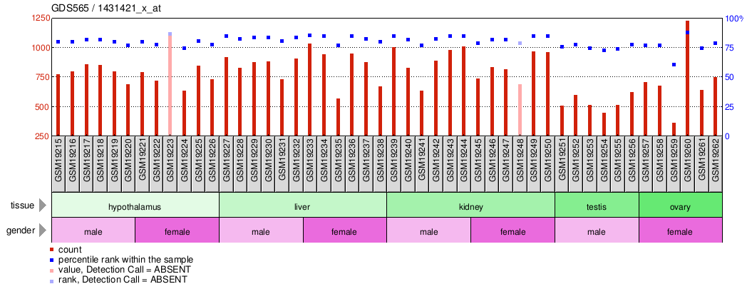 Gene Expression Profile