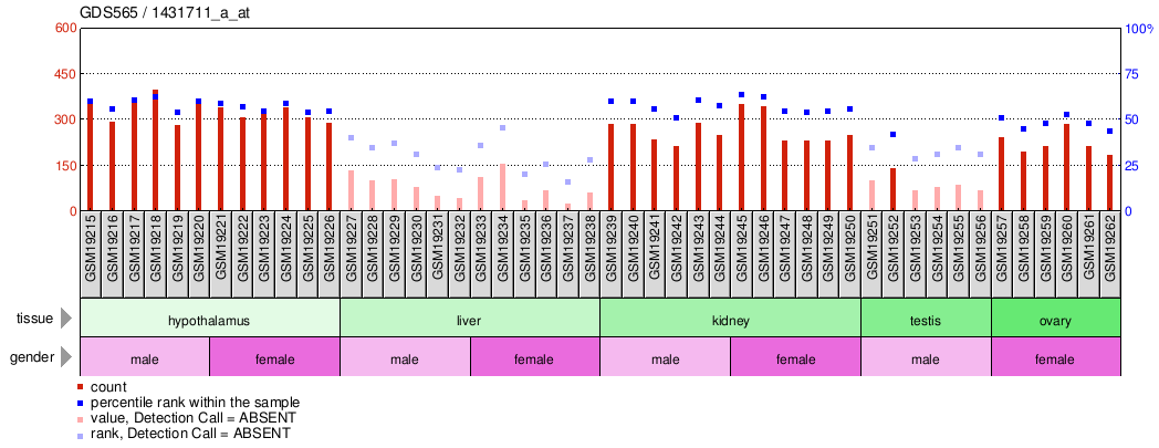 Gene Expression Profile