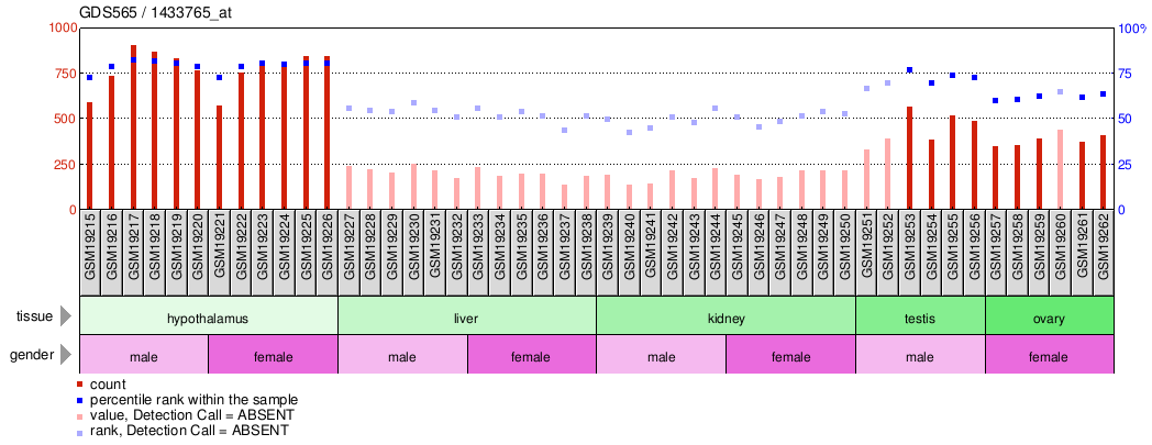 Gene Expression Profile