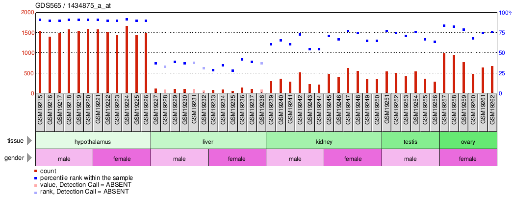 Gene Expression Profile