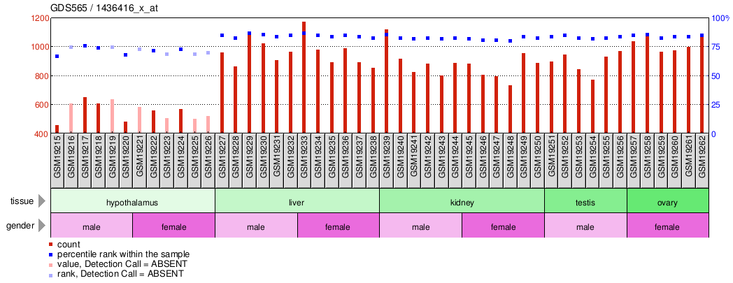 Gene Expression Profile