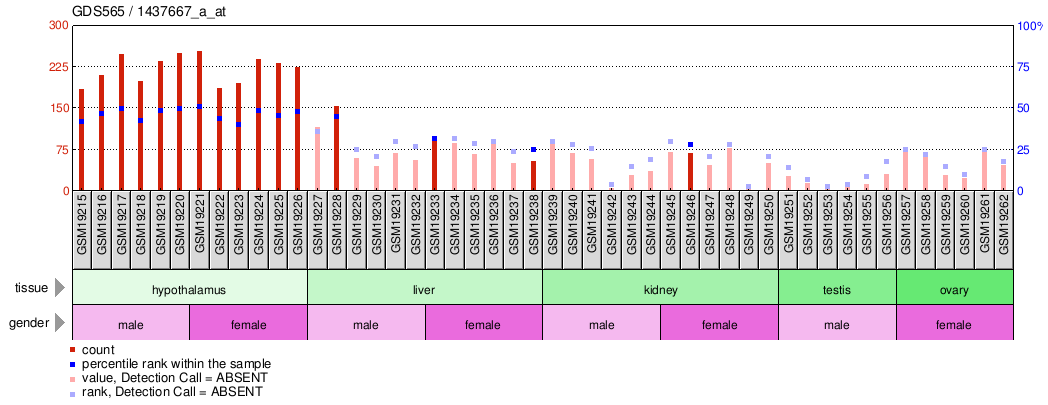 Gene Expression Profile